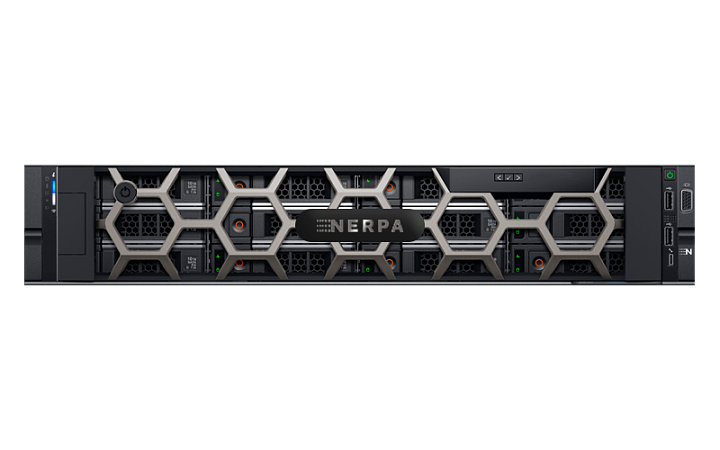 Сервер Nerpa DE LR 55